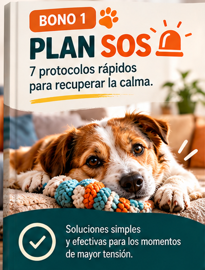 Mi perro depto: un hogar en paz