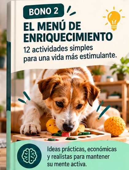 Mi perro depto: un hogar en paz