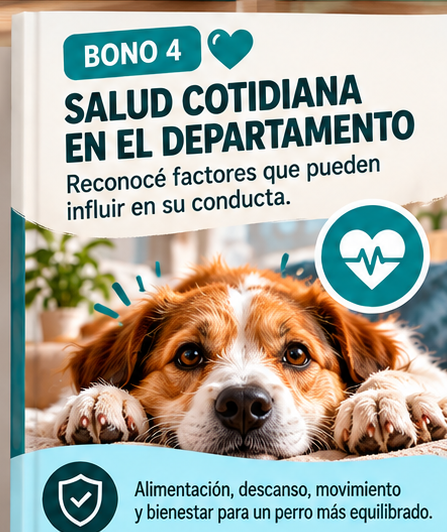 Mi perro depto: un hogar en paz